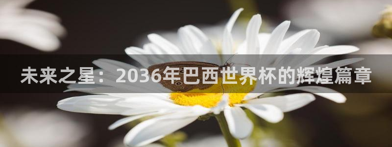 世界杯在线直播入口：未来之星：2036年巴西世界杯的辉煌篇章