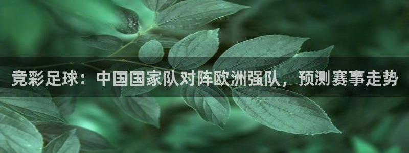 法国杯2026赛程表：竞彩足球：中国国家队对阵欧洲强队，预测赛事走势