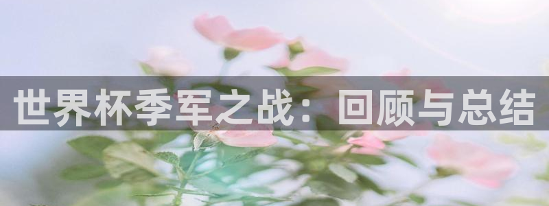 世界杯：世界杯季军之战：回顾与总结