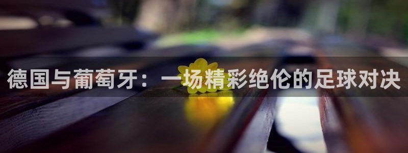 世界直播：德国与葡萄牙：一场精彩绝伦的足球对决