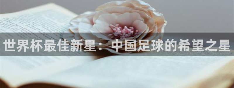 世界杯今日赛程直播：世界杯最佳新星：中国足球的希望之星