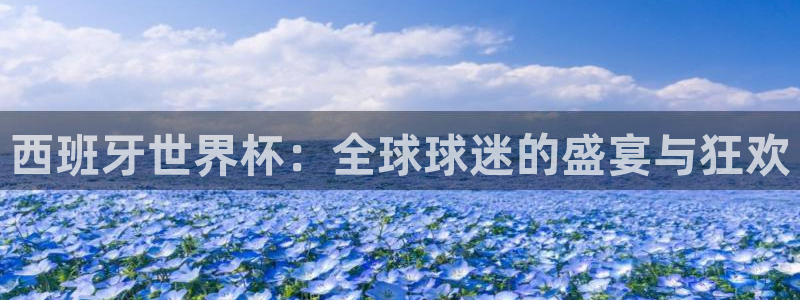 预选赛世界杯：西班牙世界杯：全球球迷的盛宴与狂欢