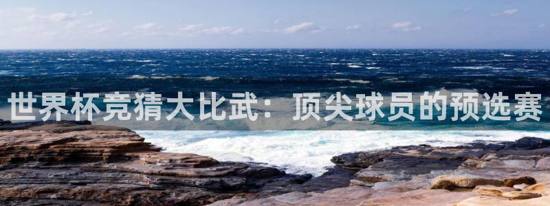 世界杯：世界杯竞猜大比武：顶尖球员的预选赛
