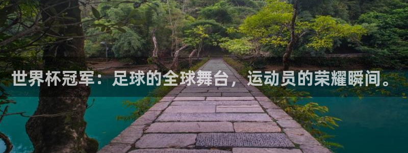足球比分直播世界杯：世界杯冠军：足球的全球舞台，运动员的荣耀瞬间。