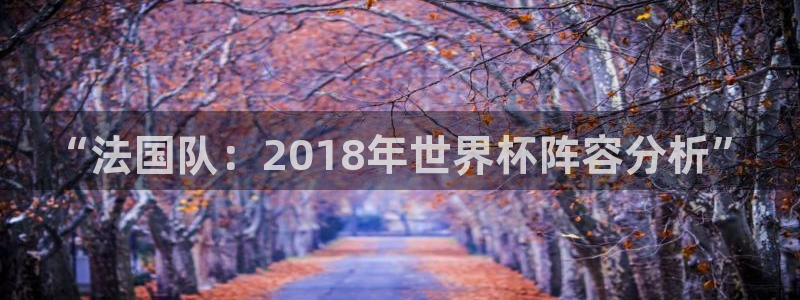 2026葡萄牙杯赛程表：“法国队：2018年世界杯阵容分析”