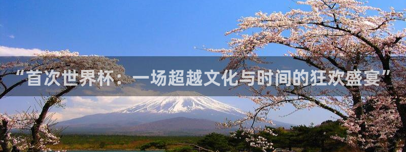 中国 世界杯：“首次世界杯：一场超越文化与时间的狂欢盛宴”