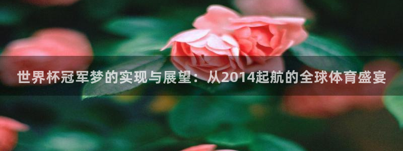 世界杯足球赛2026赛程时间：世界杯冠军梦的实现与展望：从2014起航的全球体育盛宴