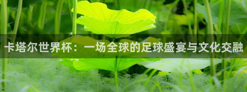 2026世界杯赛制：卡塔尔世界杯：一场全球的足球盛宴与文化交融