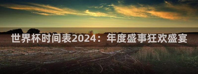 2026年世界杯直播平台：世界杯时间表2024：年度盛事狂欢盛宴